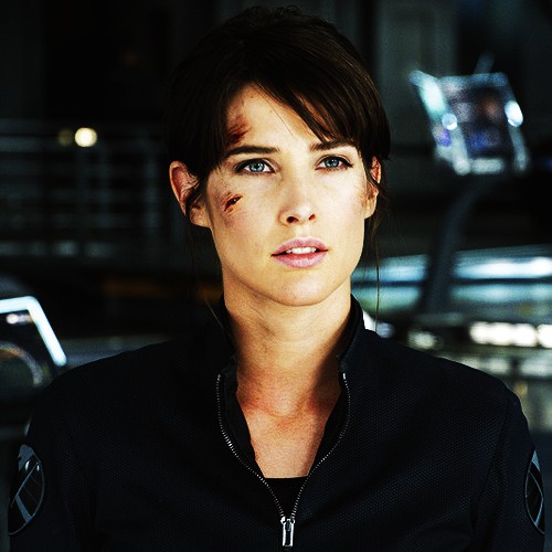 Cobie Smulders Fotoğrafı
