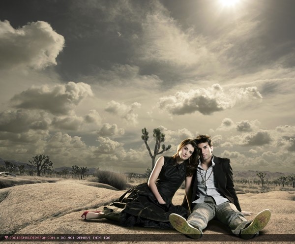 Cobie Smulders Fotoğrafı