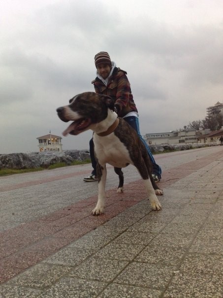 Cenk Gürpınar Fotoğrafı