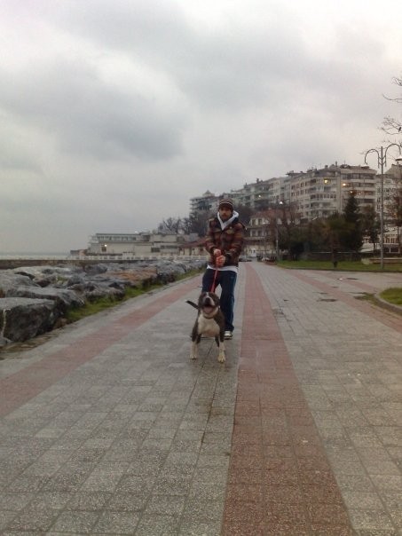 Cenk Gürpınar Fotoğrafı