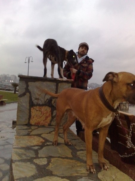 Cenk Gürpınar Fotoğrafı