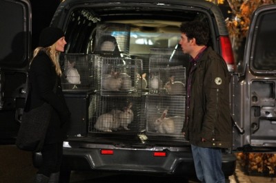 Jennifer Morrison Fotoğrafı