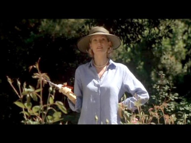 Dana Wheeler-Nicholson fotoğrafı