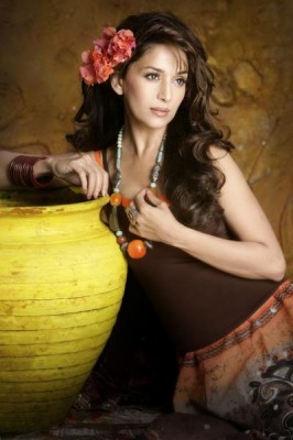 Madhuri Dixit Fotoğrafı