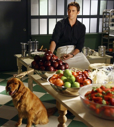 Lee Pace Fotoğrafı