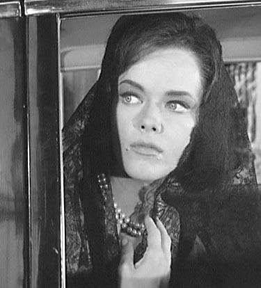 Anne Francis fotoğrafı