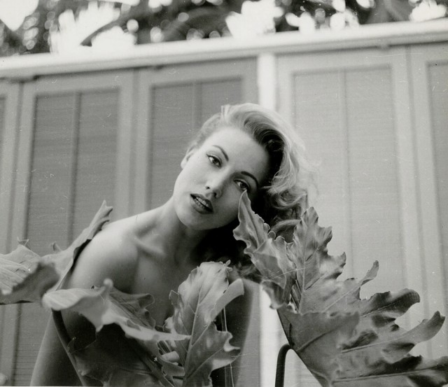 Gita Hall fotoğrafı