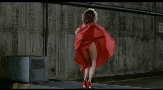 Kelly Lebrock Fotoğrafı