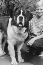 Christopher Castile fotoğrafı