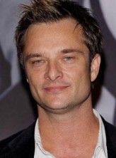 David Hallyday fotoğrafı