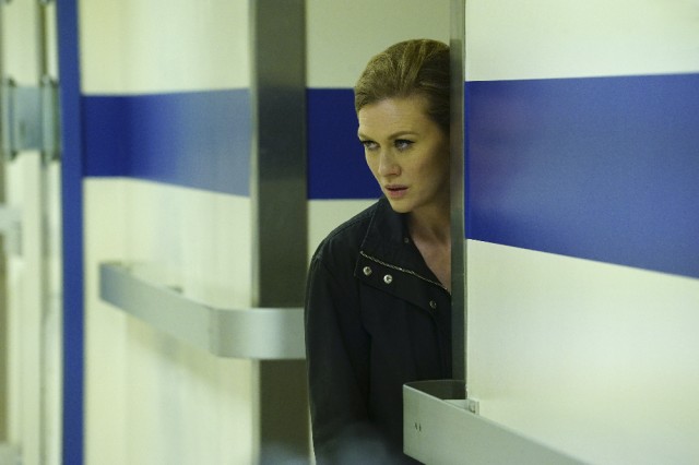 Mireille Enos Fotoğrafı