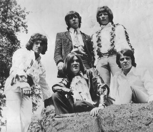 Opal Butterfly fotoğrafı