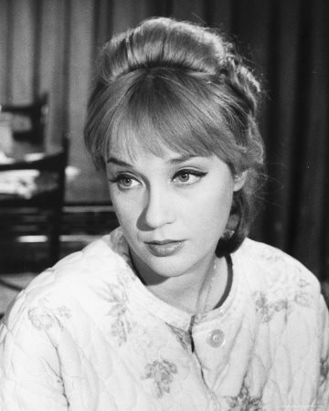 Sylvia Syms fotoğrafı