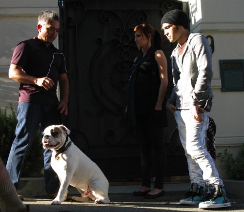 Pete Wentz Fotoğrafı