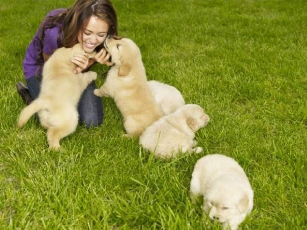 Miley Cyrus Fotoğrafı