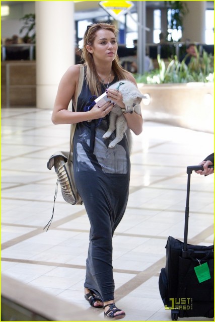 Miley Cyrus Fotoğrafı