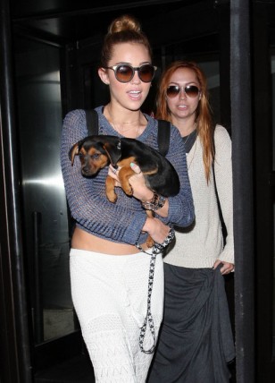 Miley Cyrus Fotoğrafı