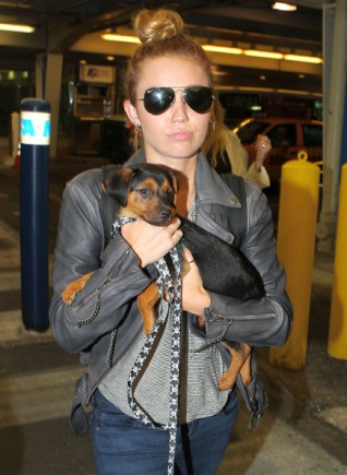 Miley Cyrus Fotoğrafı