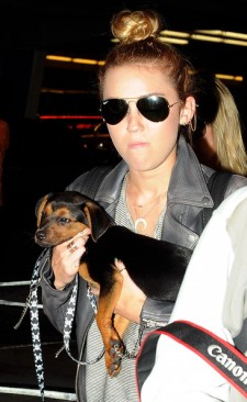 Miley Cyrus Fotoğrafı