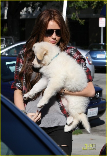 Miley Cyrus Fotoğrafı