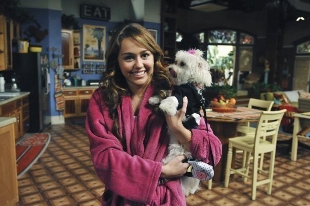 Miley Cyrus Fotoğrafı