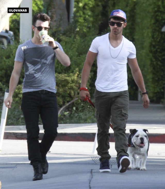 Joe Jonas Fotoğrafı