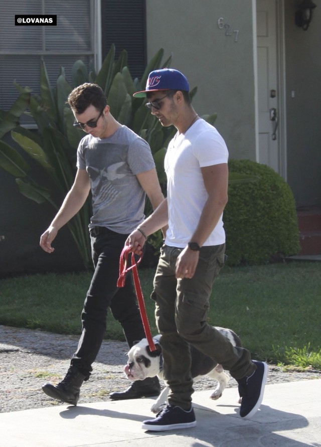 Joe Jonas Fotoğrafı