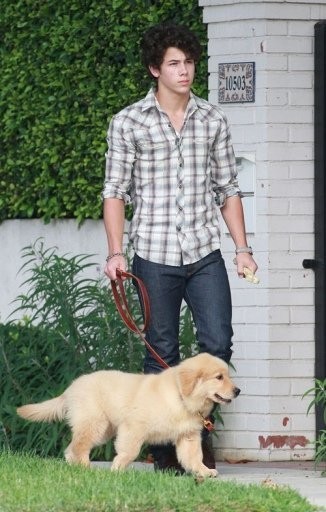 Nick Jonas Fotoğrafı