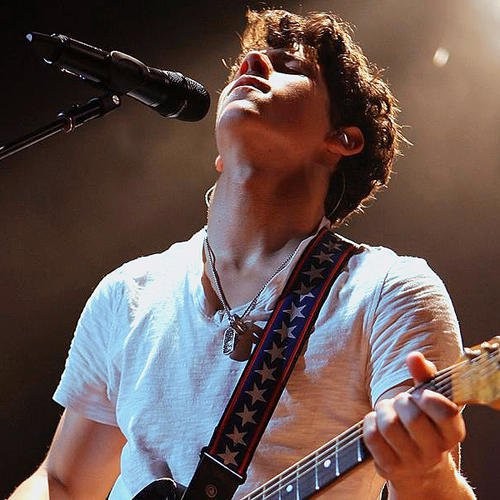 Nick Jonas Fotoğrafı