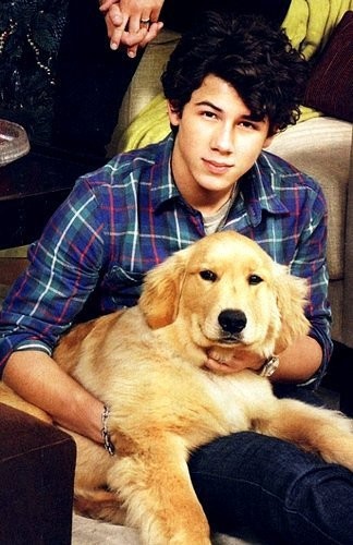 Nick Jonas Fotoğrafı