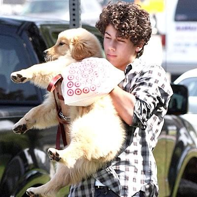 Nick Jonas Fotoğrafı