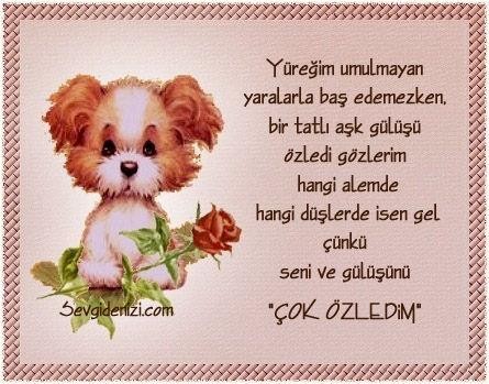 Asif Iqbal Fotoğrafı