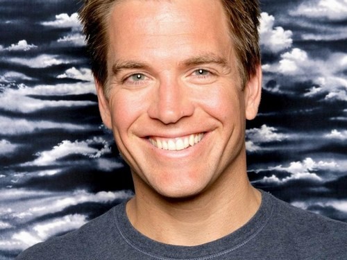 Michael Weatherly Fotoğrafı