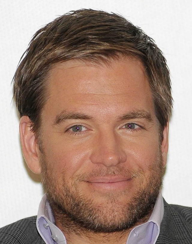 Michael Weatherly Fotoğrafı
