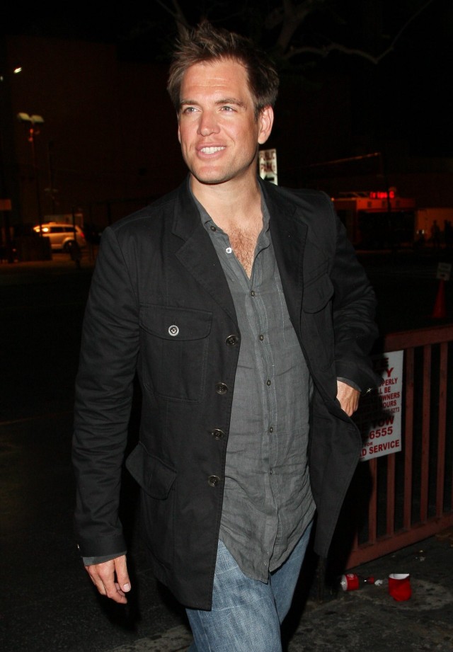 Michael Weatherly Fotoğrafı