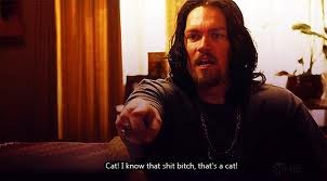 Steve Howey fotoğrafı