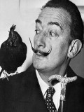Salvador Dali fotoğrafı