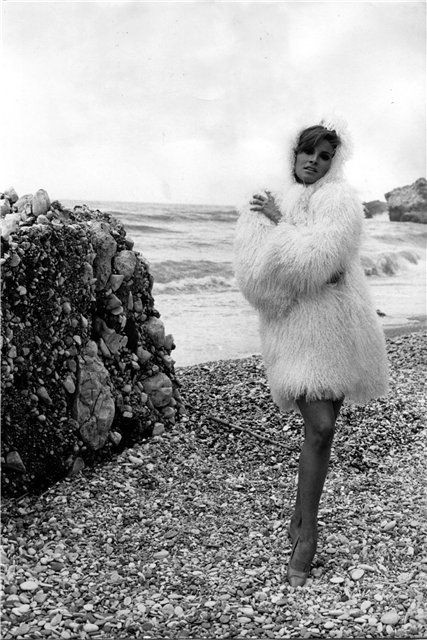 Raquel Welch Fotoğrafı