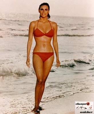 Raquel Welch Fotoğrafı