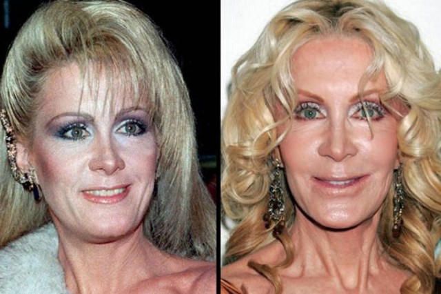 Joan Van Ark fotoğrafı