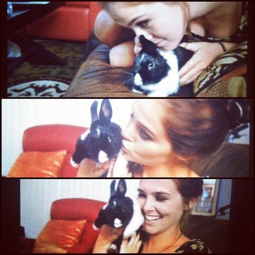 Zoey Deutch Fotoğrafı