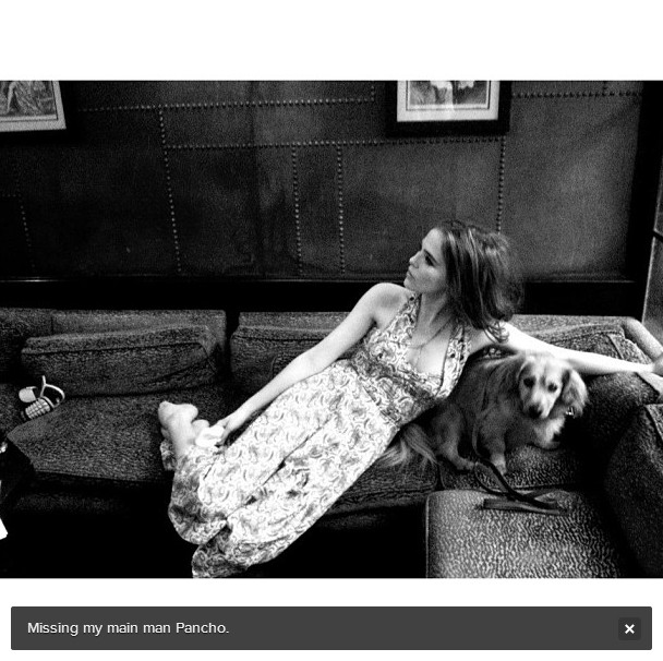 Zoey Deutch Fotoğrafı