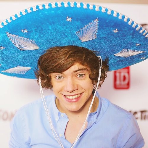 Harry Styles Fotoğrafı