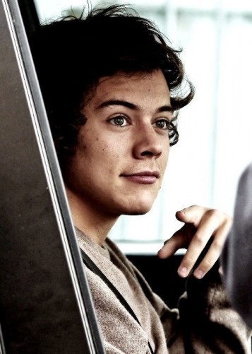 Harry Styles Fotoğrafı