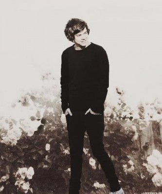 Harry Styles Fotoğrafı