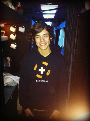 Harry Styles Fotoğrafı