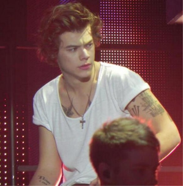 Harry Styles Fotoğrafı