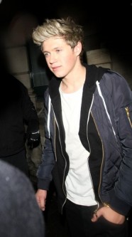 Niall Horan Fotoğrafı