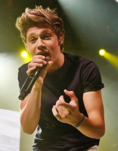 Niall Horan Fotoğrafı