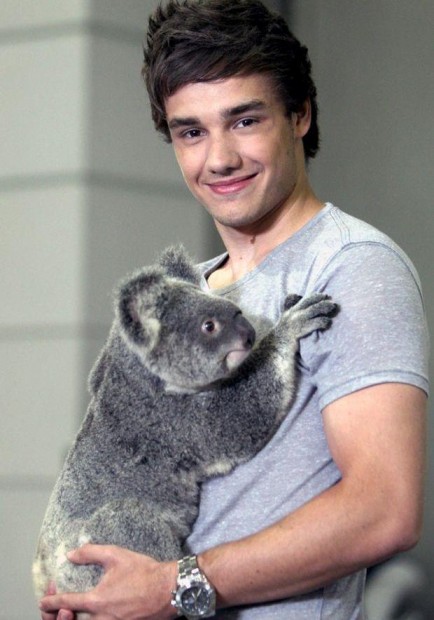 Liam Payne Fotoğrafı